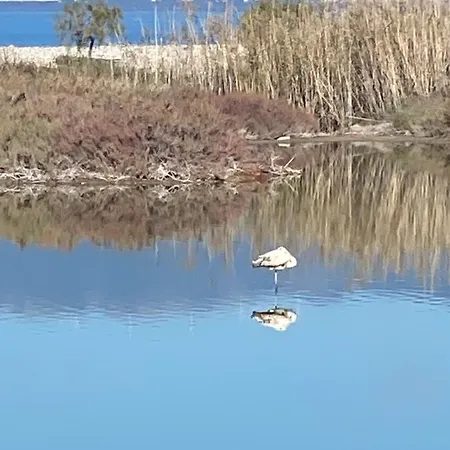 Gianna's Cozy And Shining *