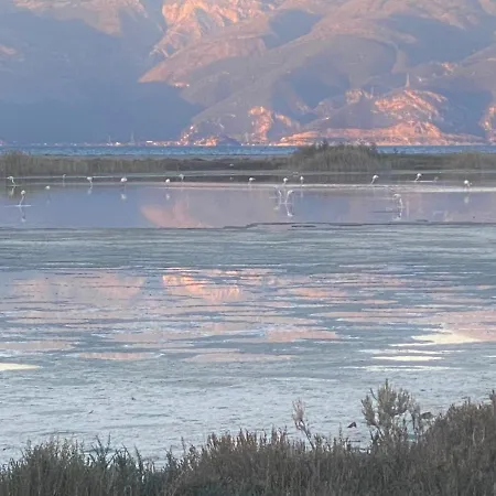 شقة Gianna's Cozy And Shining آيجيون