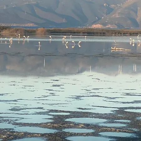 Gianna's Cozy And Shining Apartmán Aígio