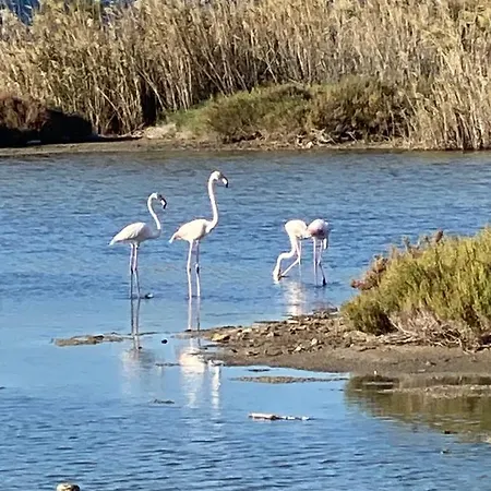 Apartmán Gianna's Cozy And Shining *