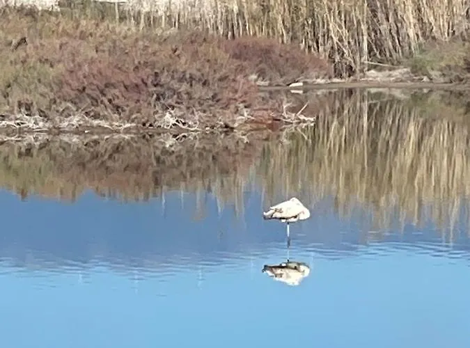 Gianna's Cozy And Shining *