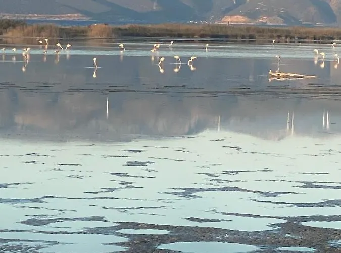 Gianna's Cozy And Shining Apartamento Égio