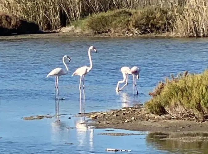 Apartamento Gianna's Cozy And Shining *